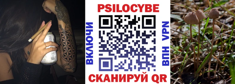 Псилоцибиновые грибы Psilocybine cubensis  Пестово 
